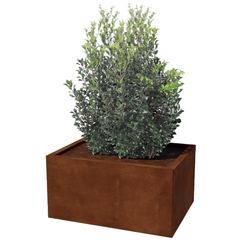 Ζαρντινιέρα από χάλυβα Corten - Ορθογώνιο - 60 x 80 cm