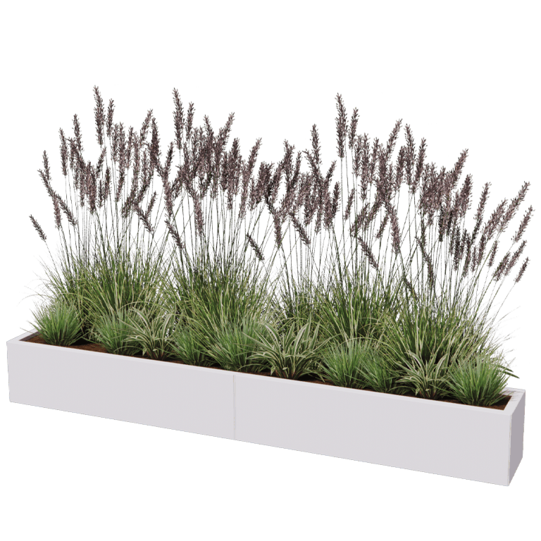 Ζαρντινιέρα από χάλυβα XXL - Ορθογώνιο - 240 x 30 cm