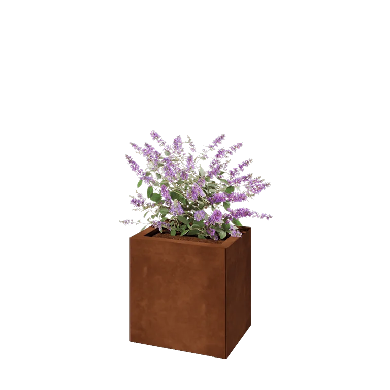 Ζαρντινιέρα από χάλυβα Corten - Ορθογώνιο - 40 x 30 x 40 cm - Χωρίς πλάκα βάσης