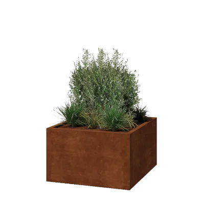 Ζαρντινιέρα από χάλυβα Corten - Τετράγωνο - 100 x 100 x 60 cm - Συγκολλημένο - Χωρίς πλάκα βάσης
