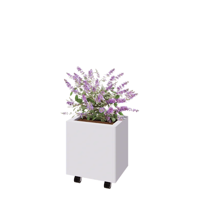 Ζαρντινιέρα από χάλυβα - Ορθογώνιο - 40 x 30 x 40 cm - RAL9010 ματ (λευκό) - Με πλάκα βάσης - Με τροχούς