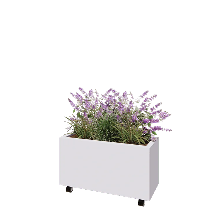 Ζαρντινιέρα από χάλυβα - Ορθογώνιο - 80 x 30 x 40 cm - RAL9010 ματ (λευκό) - Με πλάκα βάσης - Με τροχούς