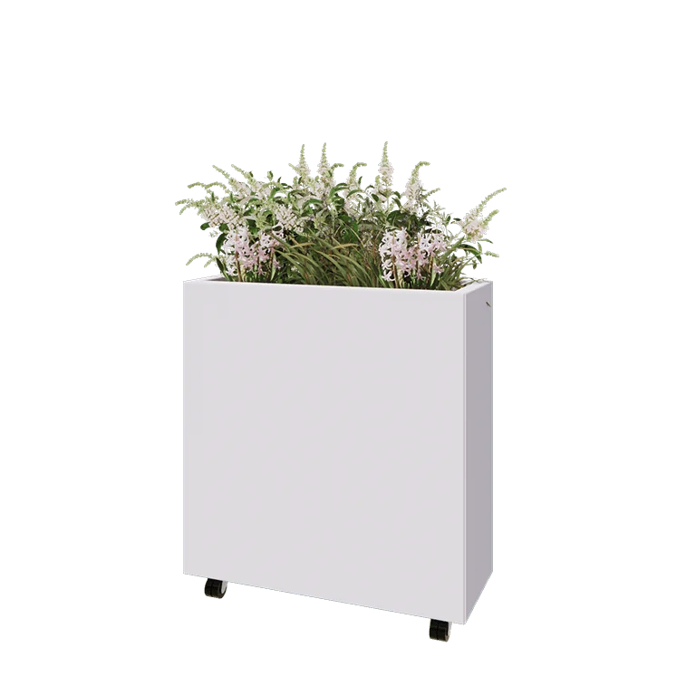 Ζαρντινιέρα από χάλυβα - Ορθογώνιο - 80 x 30 x 80 cm - RAL9010 ματ (λευκό) - Με πλάκα βάσης - Με τροχούς