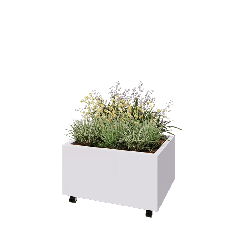Ζαρντινιέρα από χάλυβα - Ορθογώνιο - 80 x 60 x 40 cm - RAL9010 ματ (λευκό) - Με πλάκα βάσης - Με τροχούς