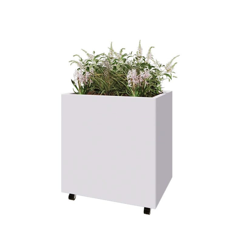 Ζαρντινιέρα από χάλυβα - Ορθογώνιο - 80 x 60 x 80 cm - RAL9010 ματ (λευκό) - Με πλάκα βάσης - Με τροχούς