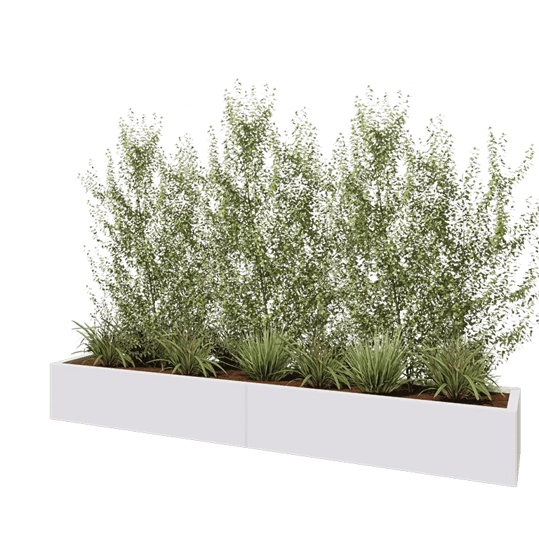 Ζαρντινιέρα XXL από χάλυβα - Ορθογώνιο - 240 x 40 x 30 cm - RAL9010 ματ (λευκό) - Με πλάκα βάσης
