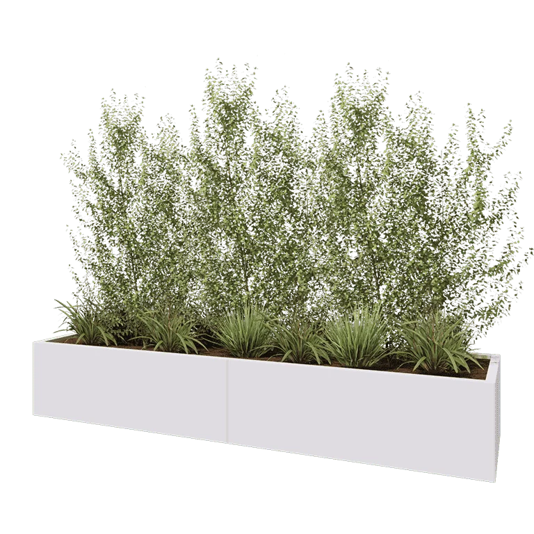 Ζαρντινιέρα XXL από χάλυβα - Ορθογώνιο - 240 x 60 x 40 cm - RAL9010 ματ (λευκό) - Χωρίς πλάκα βάσης