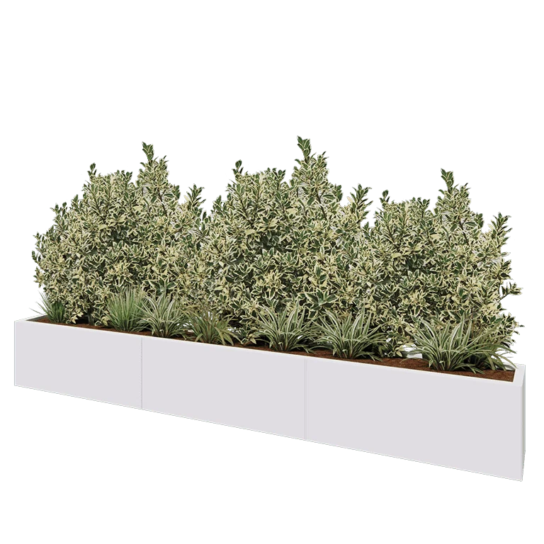 Ζαρντινιέρα XXL από χάλυβα - Ορθογώνιο - 300 x 30 x 40 cm - RAL9010 ματ (λευκό) - Με πλάκα βάσης