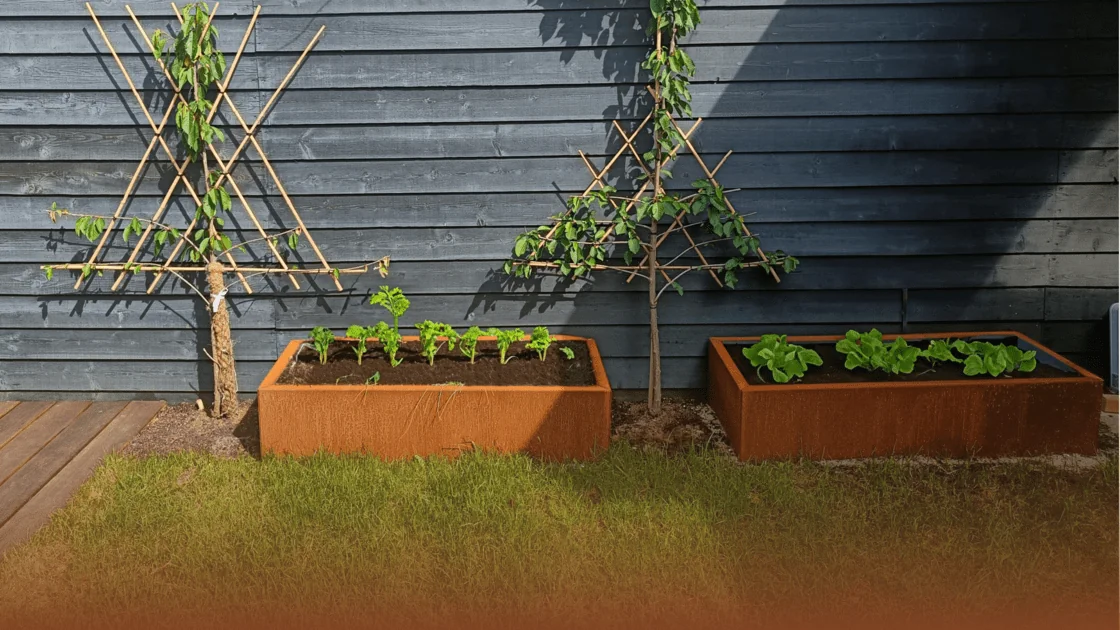 Γιατί το corten steel είναι τέλεια για έναν λαχανόκηπο